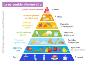 La pyramide alimentaire