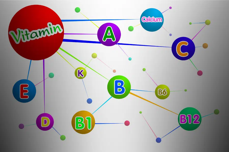 Les Vitamines B