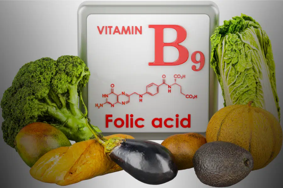 Les Vitamines B