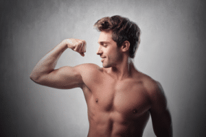 Les muscles du biceps